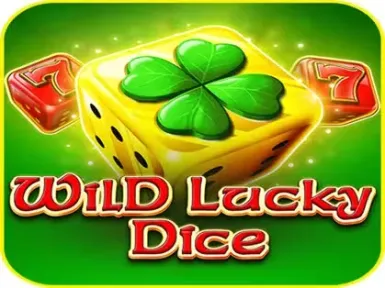 PartyCity Casino screenshot